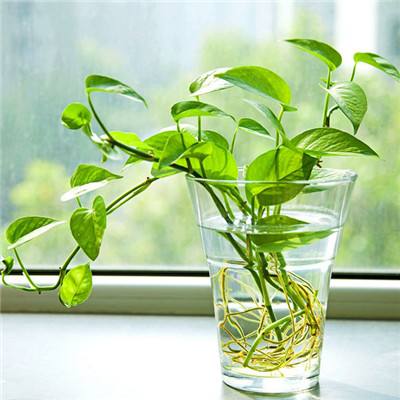 乐高城市灭火队